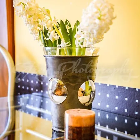 Azyl Nad Potokiem Homestay